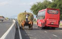 Luật là luật