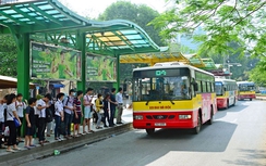 Mở mới 14 tuyến buýt tại Hà Nội trong năm 2017