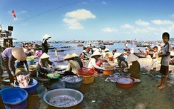 Người dân Phú Quốc có thể thu nhập tới 13.000 USD