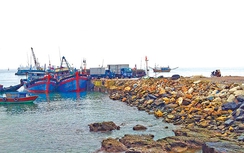 Cảng cá trái phép thách thức chính quyền