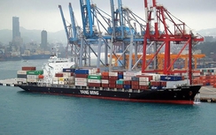 Tập đoàn vận tải biển Đài Loan dừng hoạt động ở Iran