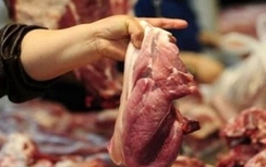 Giá thịt lợn: Siêu thị cao ngất ngưởng, xuất chuồng rẻ như cho