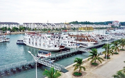 Mức giá mới cho khách qua cảng Tuần Châu