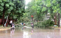 Nỗ lực cứu người, thông đường trong mưa bão số 2