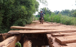 Đắk Nông: Thay cầu gỗ, cầu tạm bằng cầu bê tông