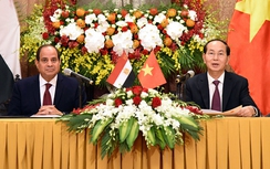 Việt Nam-Ai Cập quyết tâm đưa kim ngạch thương mại lên 1 tỷ USD