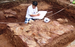 Mở rộng khai quật lăng mộ vua Quang Trung