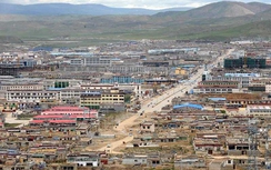 Trung Quốc chi tiền tỷ cải tạo “thành phố không cây”