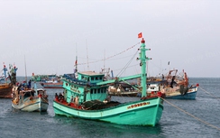 Cà Mau kêu gọi hơn 1.000 tàu cá chủ động tránh trú bão số15