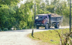 Hà Nam: Xe tải nặng “băm nát” đê Hữu Hồng