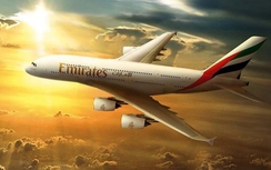 UAE cáo buộc không quân Qatar chặn máy bay dân sự