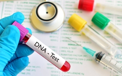 Xét nghiệm ADN hóa giải lời nguyền loạn luân