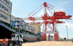 “Lột xác” sau CPH, cảng Quy Nhơn hấp dẫn khách hàng lớn