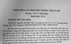 Hàng chục nghìn thẻ điện thoại Sendo.vn bán ra không nạp được tiền