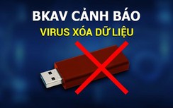 Cảnh báo lây nhiễm virus xóa dữ liệu máy tính tại Việt Nam