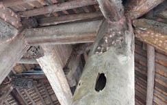 Di tích quốc gia 400 năm tuổi ở Phú Thọ sắp thành phế tích