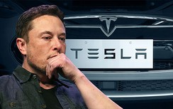 CEO Elon Musk và Tesla bị kiện vi phạm luật chứng khoán