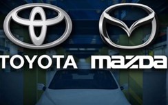 Mazda và Toyota chi 6 triệu USD phí môi trường để bảo vệ... cá