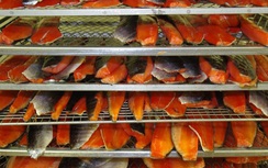 Vì sao Mỹ từ chối nhập khẩu cá tra hun khói?