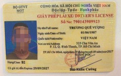 Báo động tràn lan giấy phép lái xe giả ở TP.HCM