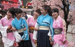 Lễ hội hoa anh đào Nhật Bản tại Hoàng thành Thăng Long