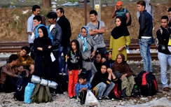 Quá tải người tị nạn, Thụy Điển ngừng các chuyến tàu đến Đan Mạch