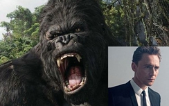 King Kong 2 khởi quay phân cảnh hấp dẫn tại Việt Nam