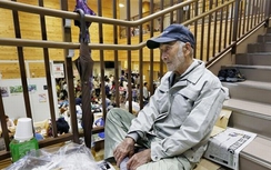 Nhật mở cửa nhà tù cho dân tạm trú sau động đất