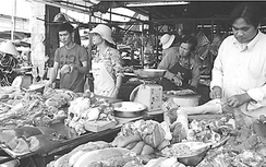 Sẽ thử nghiệm “soi” thịt heo an toàn ở TP. Hồ Chí Minh