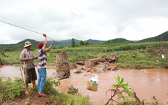 Đắk Lắk: Khẩn trương khắc phục cầu tạm bị nước cuốn