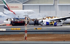 Tranh cãi việc cố mang hành lý khi máy bay gặp nạn