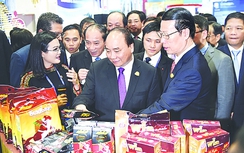 Việt Nam luôn coi trọng và ủng hộ hợp tác ASEAN-Trung Quốc