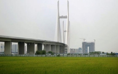 Quan hệ Trung - Triều nhìn từ hai cây cầu