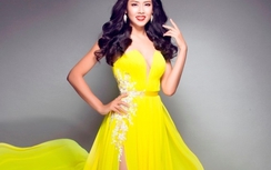 Nguyễn Thị Loan trở thành GĐ quốc gia của Hoa hậu quốc tế 2016