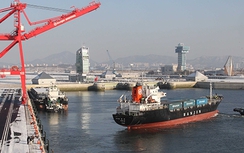 Tập đoàn vận tải Hanjin sẽ bán hết tàu trong tháng này