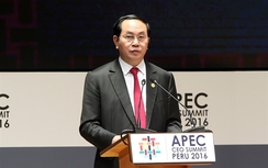 Chủ tịch nước Trần Đại Quang: Sớm đưa Hiệp định TPP vào thực thi