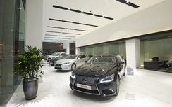Doanh số Lexus sụt giảm trên thị trường xe sang