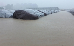 Hyundai Thành Công bác bỏ thông tin 137 xe Grand i10 bị ngập nước
