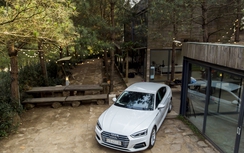 Chiêm ngưỡng A5 Sportback, mẫu xe đáng mua nhất của Audi