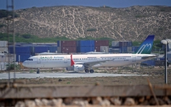 Máy bay Nepal hạ cánh khẩn cấp vì đâm phải chim