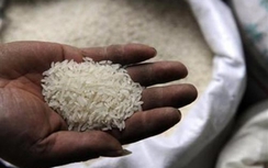 4 cách đơn giản nhận biết gạo nhựa, gạo giả