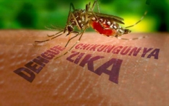 Bộ Y tế thông tin về virus Zika tại Việt Nam