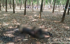 Nghi án giết người, đốt xác phi tang ở Đồng Nai