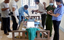 "Phi công trẻ" ở Điện Biên đánh người tình tử vong