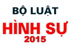 Bộ luật hình sự 2015 sai sót: Chính thức lùi thi hành 4 luật