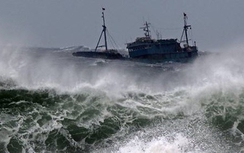 Tin bão số 2 Nida mới nhất: Bắc Biển Đông gió giật cấp 12