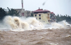 Áp thấp nhiệt đới trên biển Bình Thuận-Bà Rịa Vũng Tàu, giật cấp 8