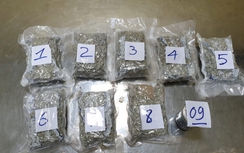 Hải quan Tân Sơn Nhất bắt giữ 2,3kg ma túy gửi từ Mỹ về