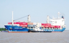 Đội tàu container Việt Nam đảm nhận hoàn toàn tuyến nội địa
