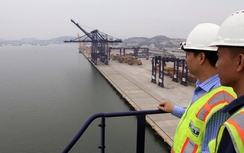 Việt-Nhật trao đổi kinh nghiệm xây dựng cảng biển ứng phó thiên tai